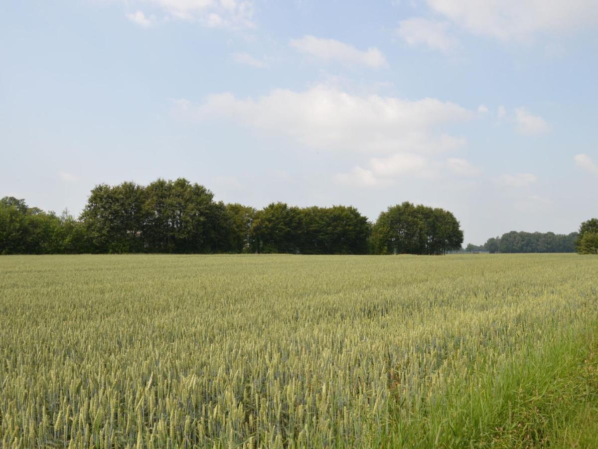 Monumental Farm In The Ash Landscape Villa Geesteren  Exterior photo