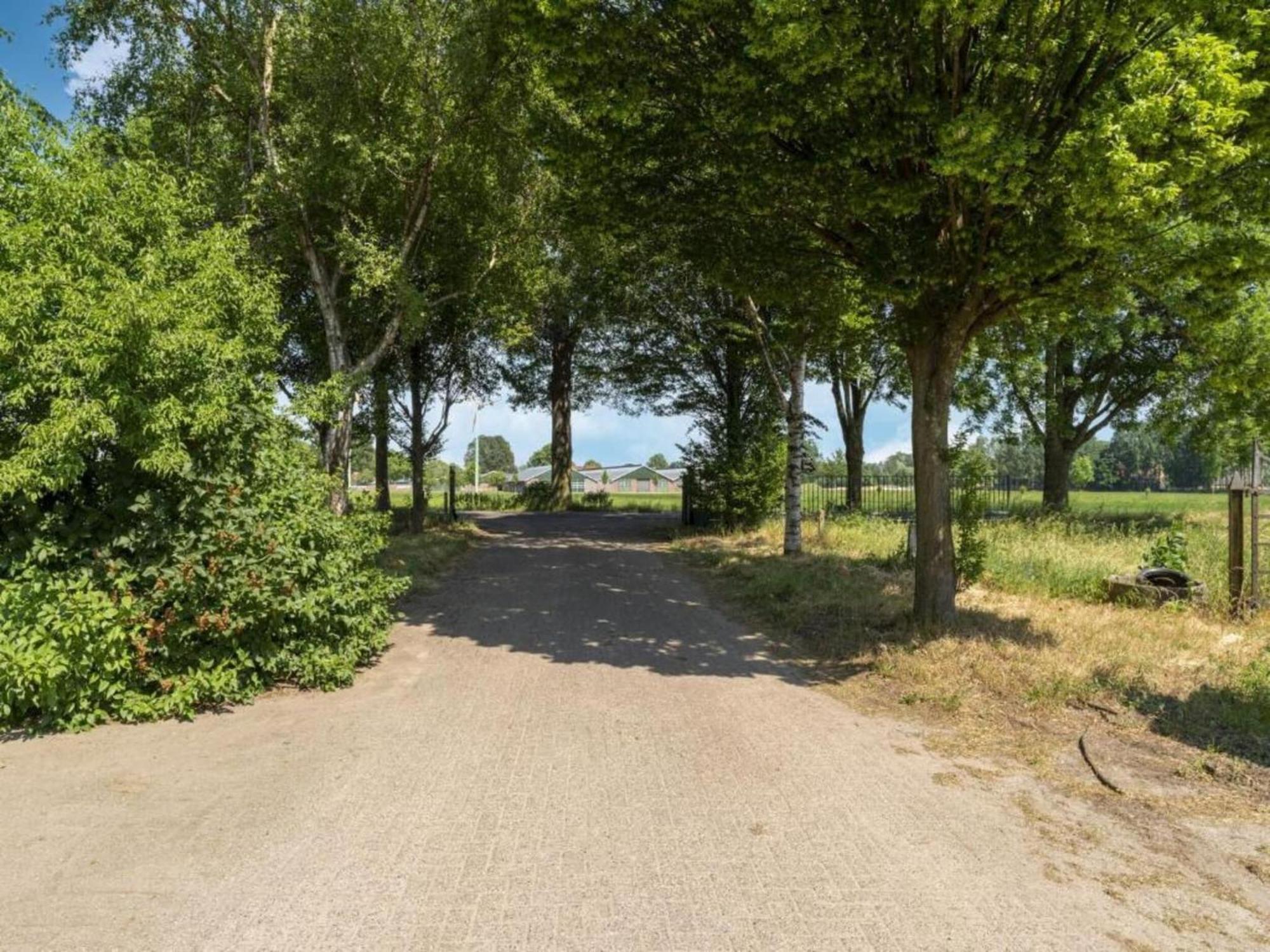 Monumental Farm In The Ash Landscape Villa Geesteren  Exterior photo